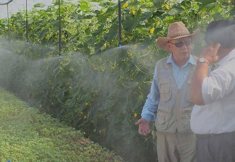 edige_sabutov_visit_nethouse