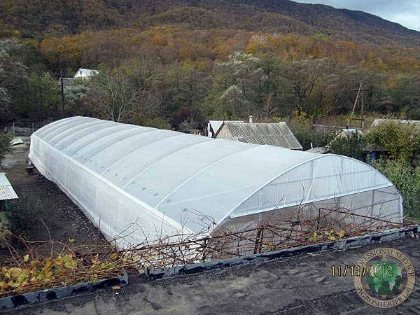 greenhouse_built