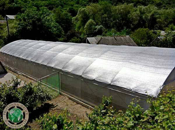 shading_net_greenhouse