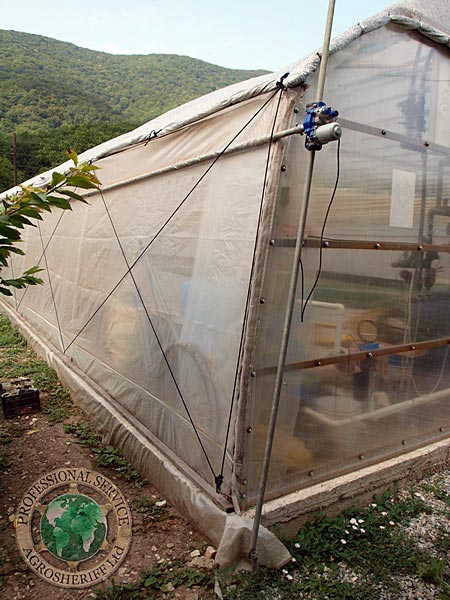 greenerthouse_curtains