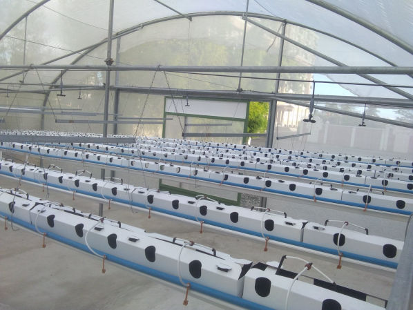 agrosheriff_greenhouse_120km_winds