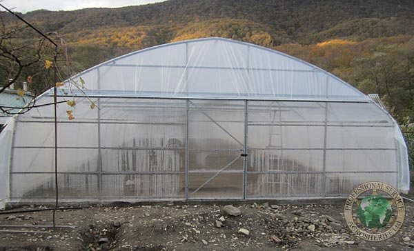 greenhouse_by_agrosheriff