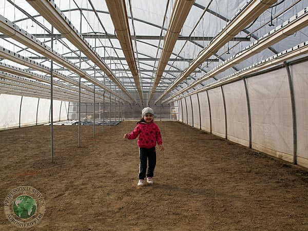 celling_blocks_strawberry