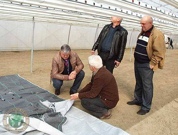 coating_greenhouse_ground
