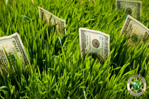 10_secrets_of_succsful_farmer