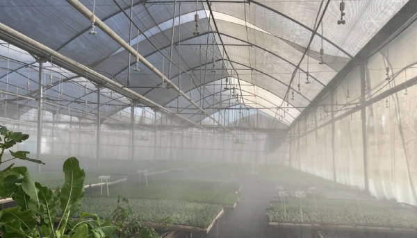 foggers_Nethouse_agrosheriff