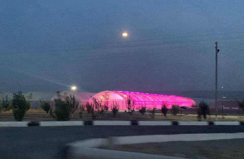 greenhouse_night_agrosheriff