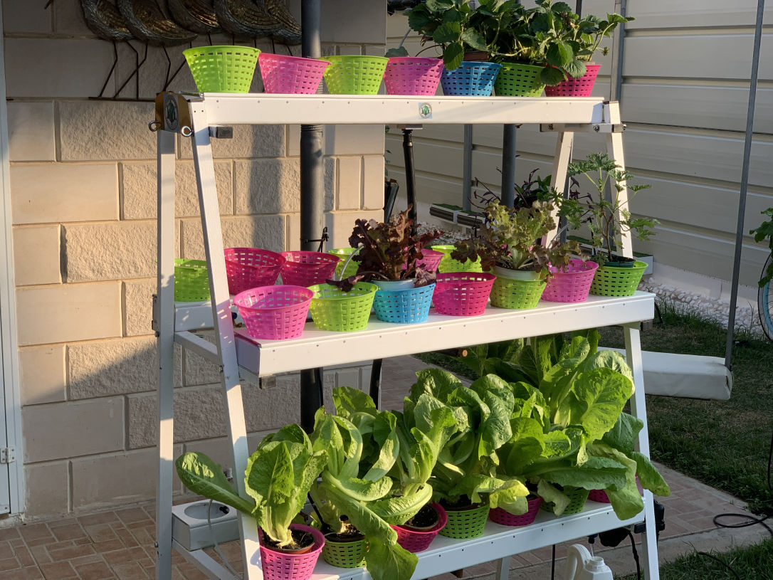 Golda_facility_backyard