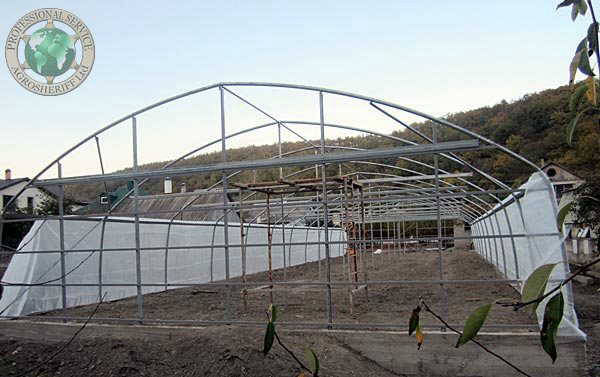 build_greenhouse