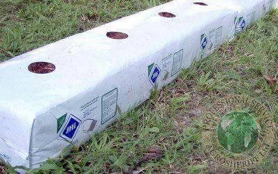 coco_peat_block_ready